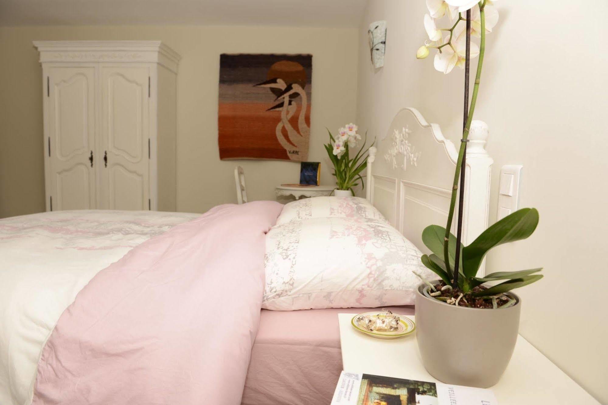 Mas De Carabelle Bed & Breakfast La Roque-Alric ภายนอก รูปภาพ